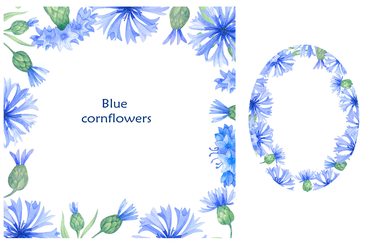 Blue cornflowers bundle, a Decorative Illustration by EshaStudio (Photo 6 of 15)