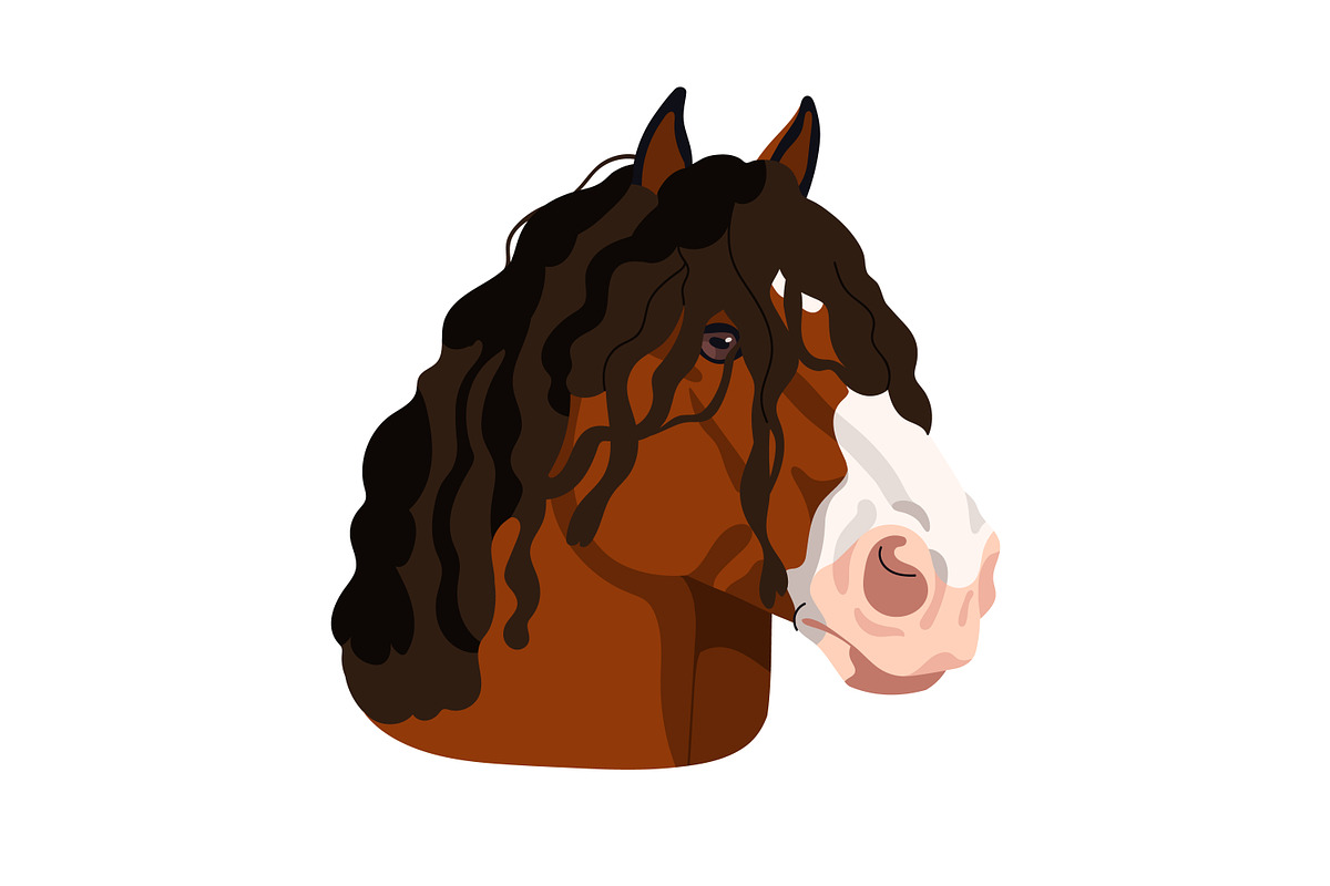 Horse heads set. Stallions breeds, an Animal Illustration by Good Studio (Photo 7 of 12)