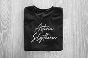 Majority Reminder – Signature Font, a Script Font by Fikryal Studio (Thumbnail 3 of 11)