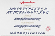Amaranthine - Vintage Script Fonts, a Script Font by SemutHitam Creative (Thumbnail 3 of 8)