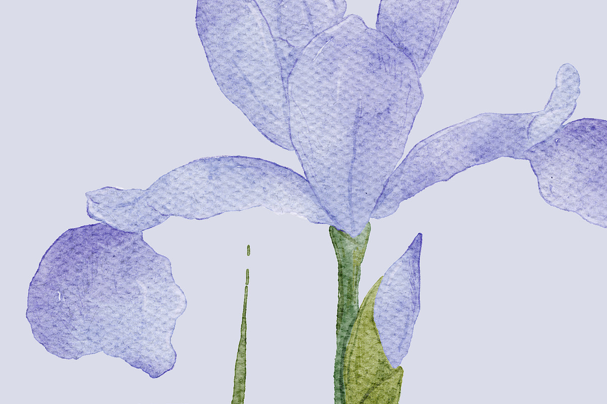 Spring Garden Illustration & Pattern, a Decorative Illustration by OkPen (Photo 10 of 10)