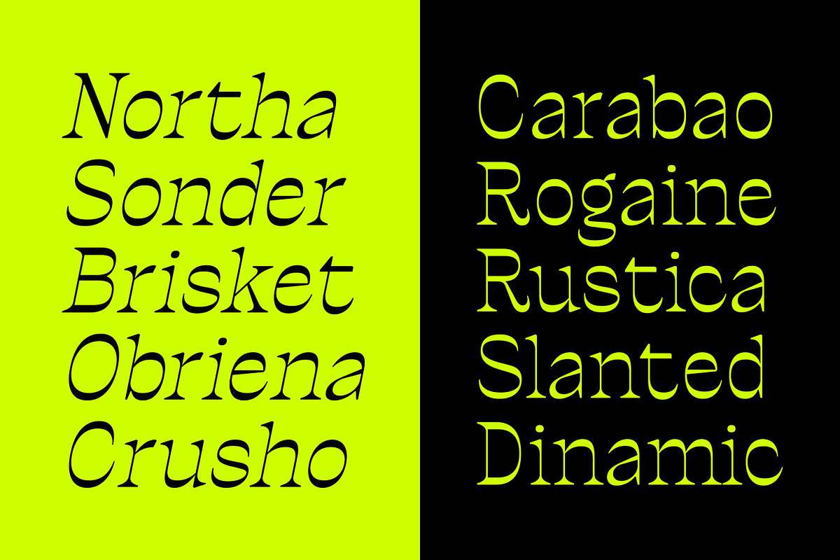 Ronders Reverse Contrast Font, a Serif Font by Genetype (Photo 8 of 10)