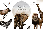African Animals mini Collection, an Animal Illustration by Creativeqube Design (Thumbnail 1 of 2)