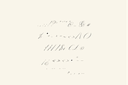 Allegra Script, a Script Font by Creative Foundry (Thumbnail 7 of 8)