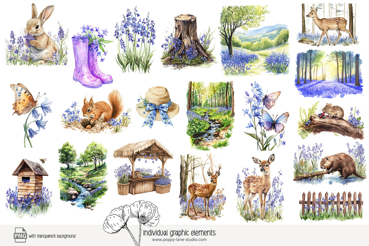 100 bluebell woods clip art, a Seasonal Illustration by Poppy Lane Studio (Photo 8 of 10)