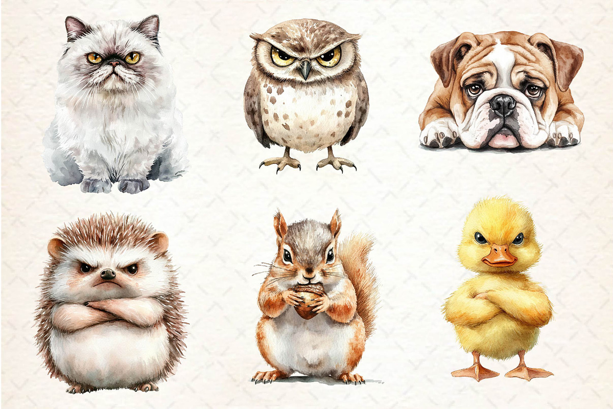 Cheeky Grumpy Animals Clipart, an Illustration by Dream Creation (Photo 5 of 6)