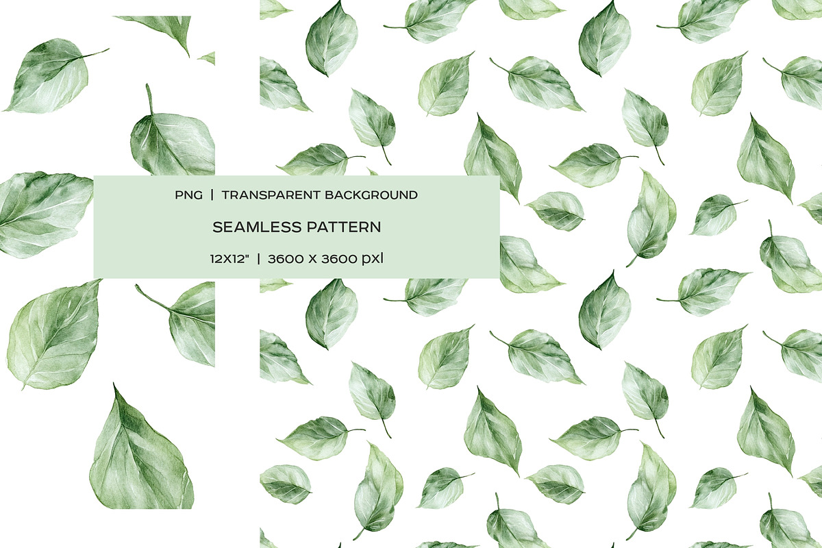 Watercolor organic cosmetic clipart, a Healthcare Illustration by Art and Funny (Photo 11 of 14)