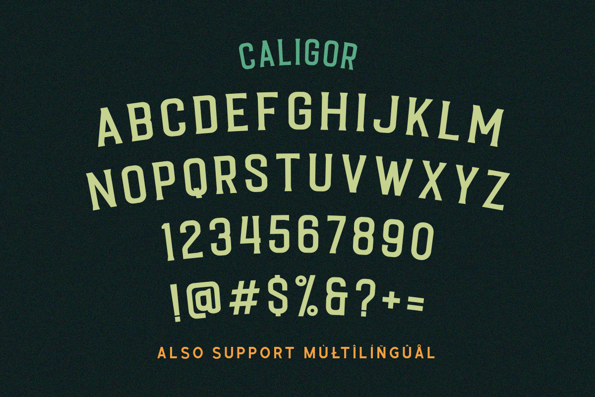 CALIGOR - Display Typeface preview 4