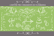 Cantoni Pro Hand Lettered Font, a Script Font by Debi Sementelli (Thumbnail 4 of 4)