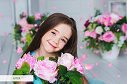 Rose Petals Photoshop Overlays preview 3