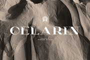 CELARIN Display Font, a Serif Font by Hishand Studio (Thumbnail 1 of 10)