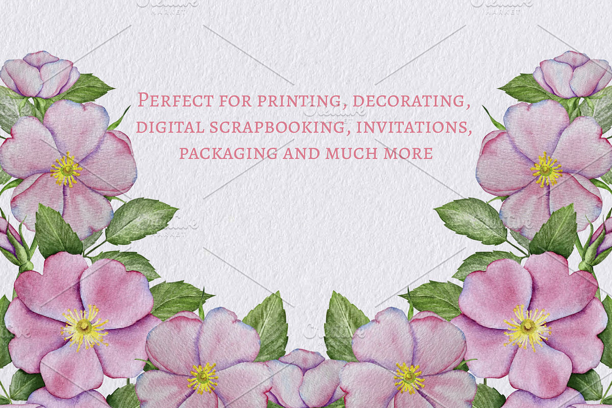 Rose Hip Flowers Clipart, a Decorative Illustration by Milla_Zelenyuk_art (Photo 5 of 7)