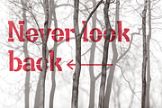 Allegoria Stencil, a Slab Serif Font by Fedfonts (Thumbnail 6 of 8)