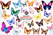Colorful Drawing Butterfly Clipart, an Illustration by Canvas Craft (Thumbnail 1 of 3)