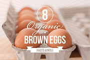 Organic Brown Eggs Photo Bundle of 8
