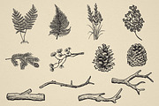Nature Forest Hand drawn Elements #1, an Illustration by Artolabs (Thumbnail 4 of 4)