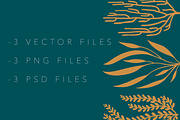 Ocean Plant Silhouettes, an Object Graphic by R.Ewers Designs (Thumbnail 3 of 3)