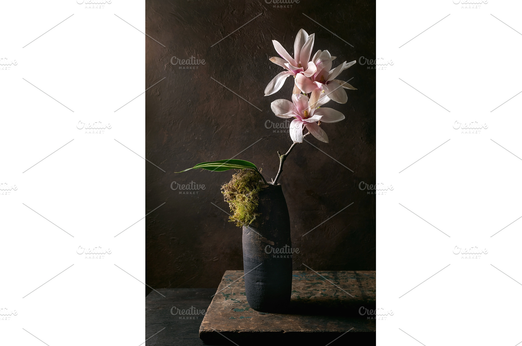 Elegant Magnolia Flowers In Dark, a Nature Photo by Natasha Breen