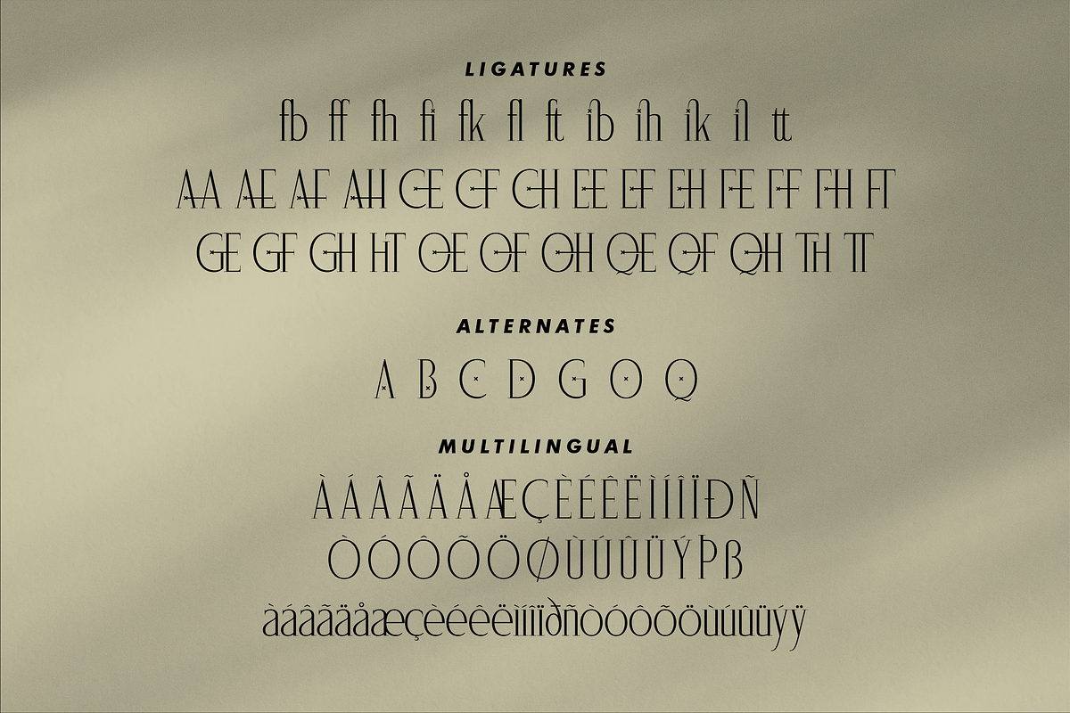 Saegathe Modern Serif Font, a Serif Font by Storytype Studio (Photo 14 of 15)
