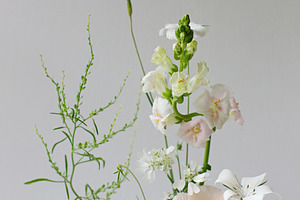 Ikebana flowers featuring flower, bouquet, and still art