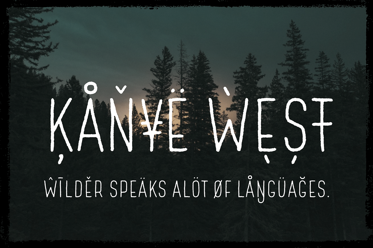 Wilder - A condensed sans serif preview 7