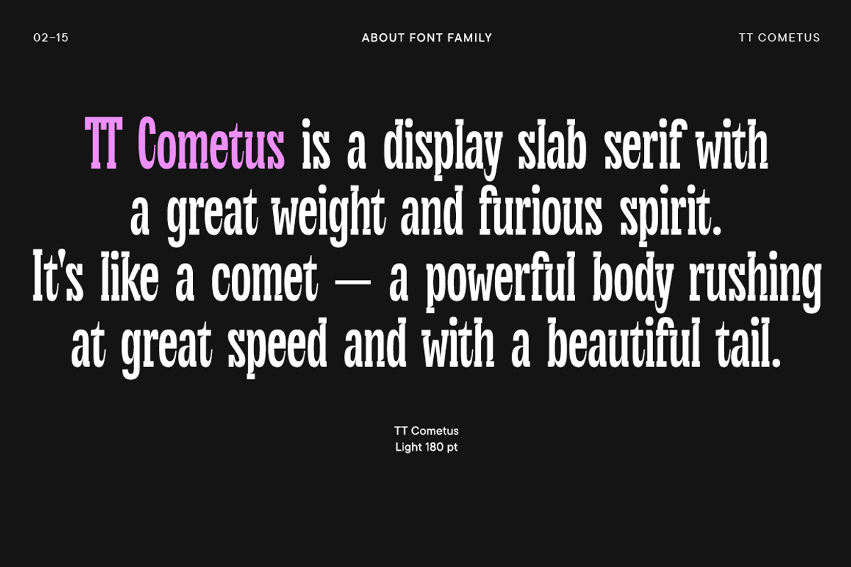 TT Cometus, a Sans Serif Font by TypeType (Photo 2 of 15)
