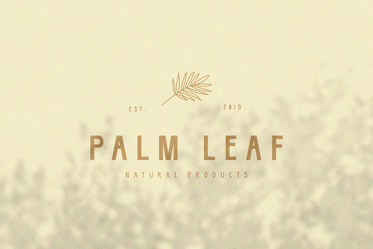 Solvorn | Tall + Quirky Sans Serif, a Sans Serif Font by Blythe Green (Photo 2 of 6)