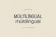 Donald Blakey Retro Serif, a Serif Font by Cruzine (Thumbnail 9 of 10)