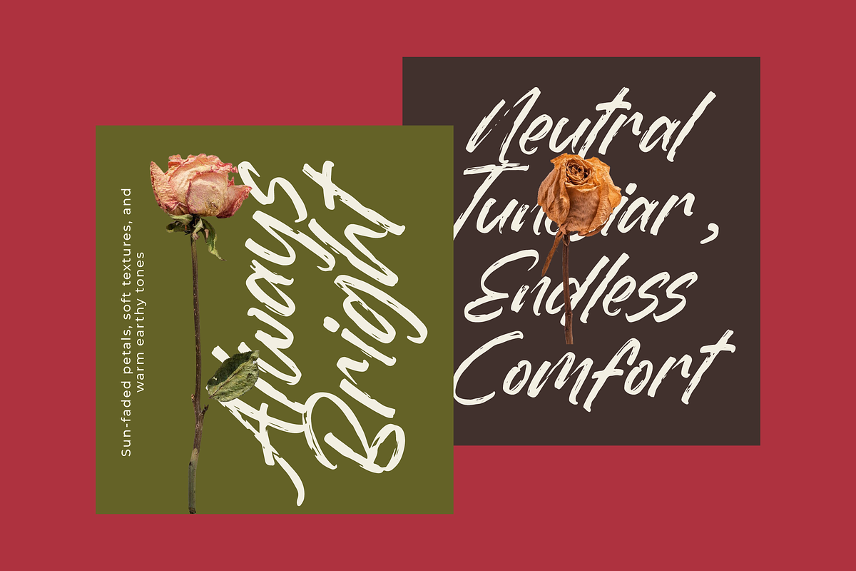 Dummy Catidays Handwritten Brush, a Script Font by Letterena Studios Script (Photo 16 of 20)