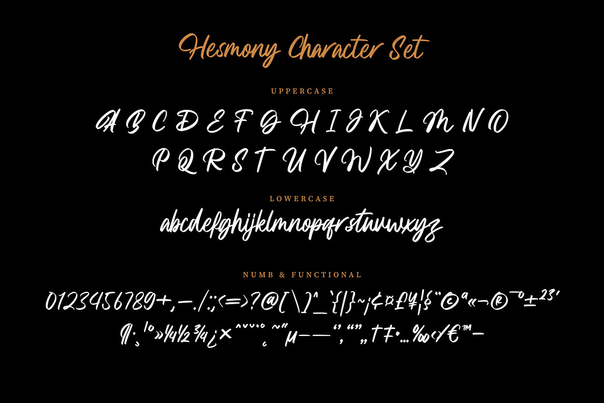 Hesmony Modern Brush Script Font, a Script Font by RantautypeStudio (Photo 14 of 15)