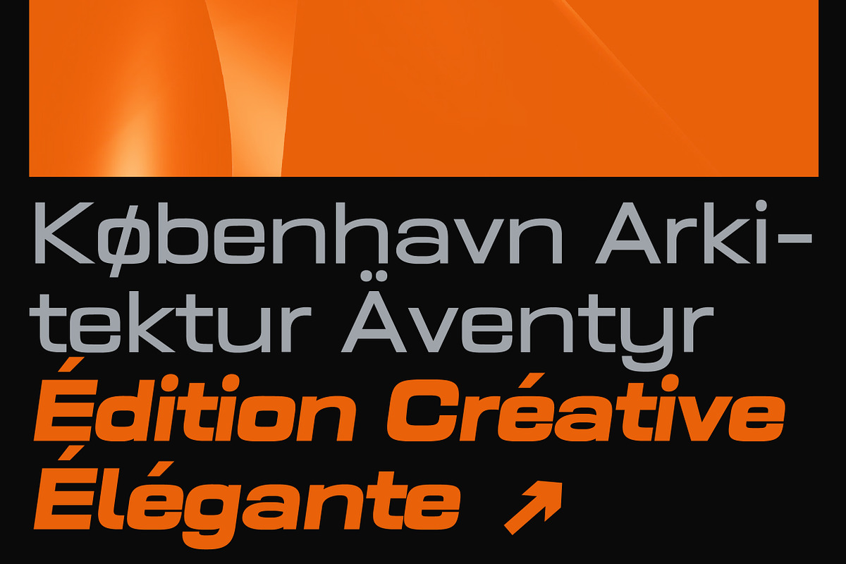 Prolinea Family | Intro 75% OFF, a Sans Serif Font by Lettertype Studio (Photo 14 of 15)