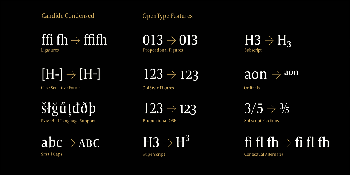 Candide Condensed, a Serif Font by Hoftype (Photo 10 of 10)