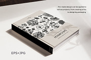 Mushrooms Vector Illustration Set, an Object Illustration by Yevheniia (Thumbnail 11 of 14)