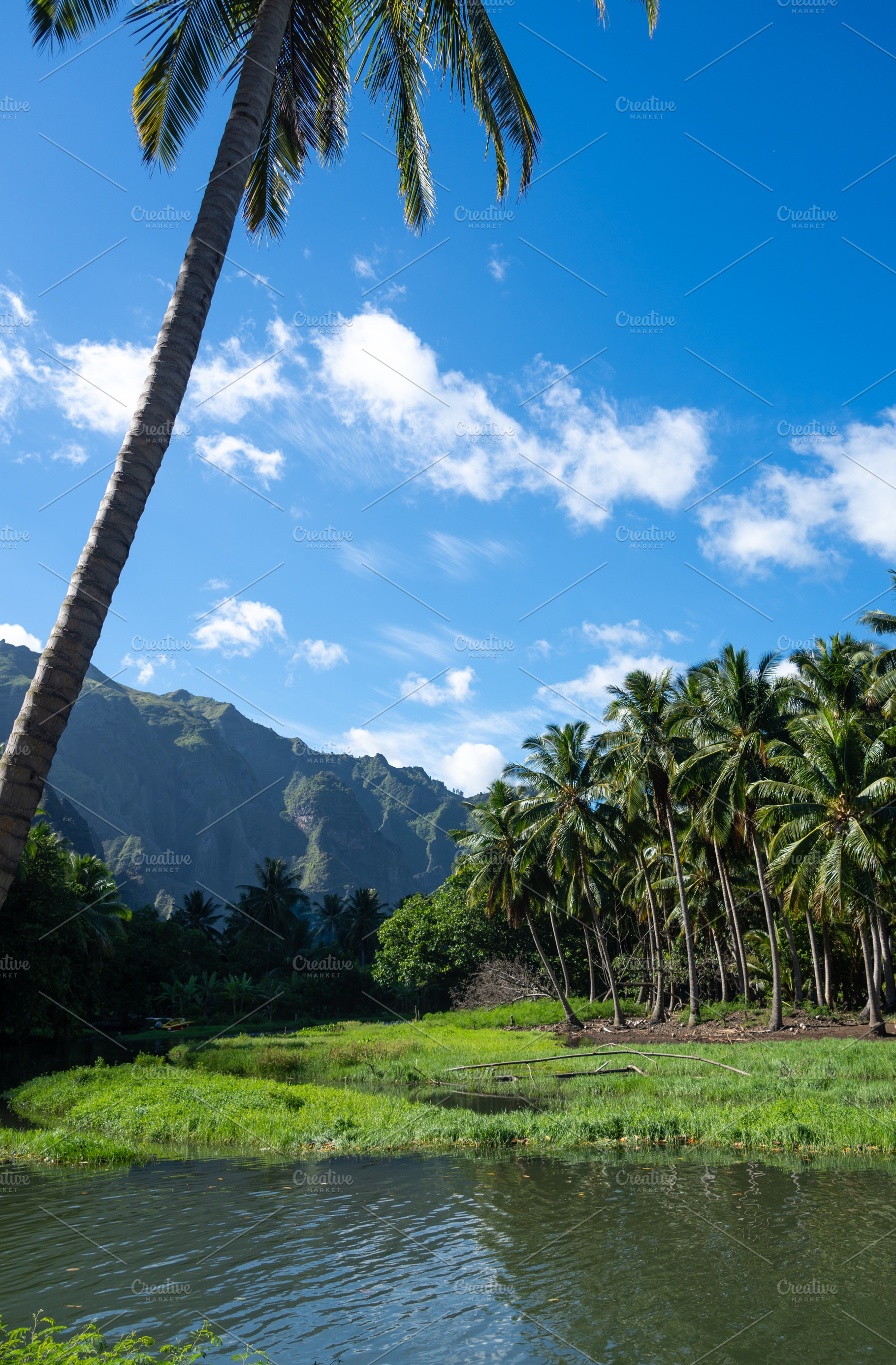 River surrounded by coconut trees in Hakaui Bay, Nuku Hiva, Fren, a Nature Photo by GoodGoods