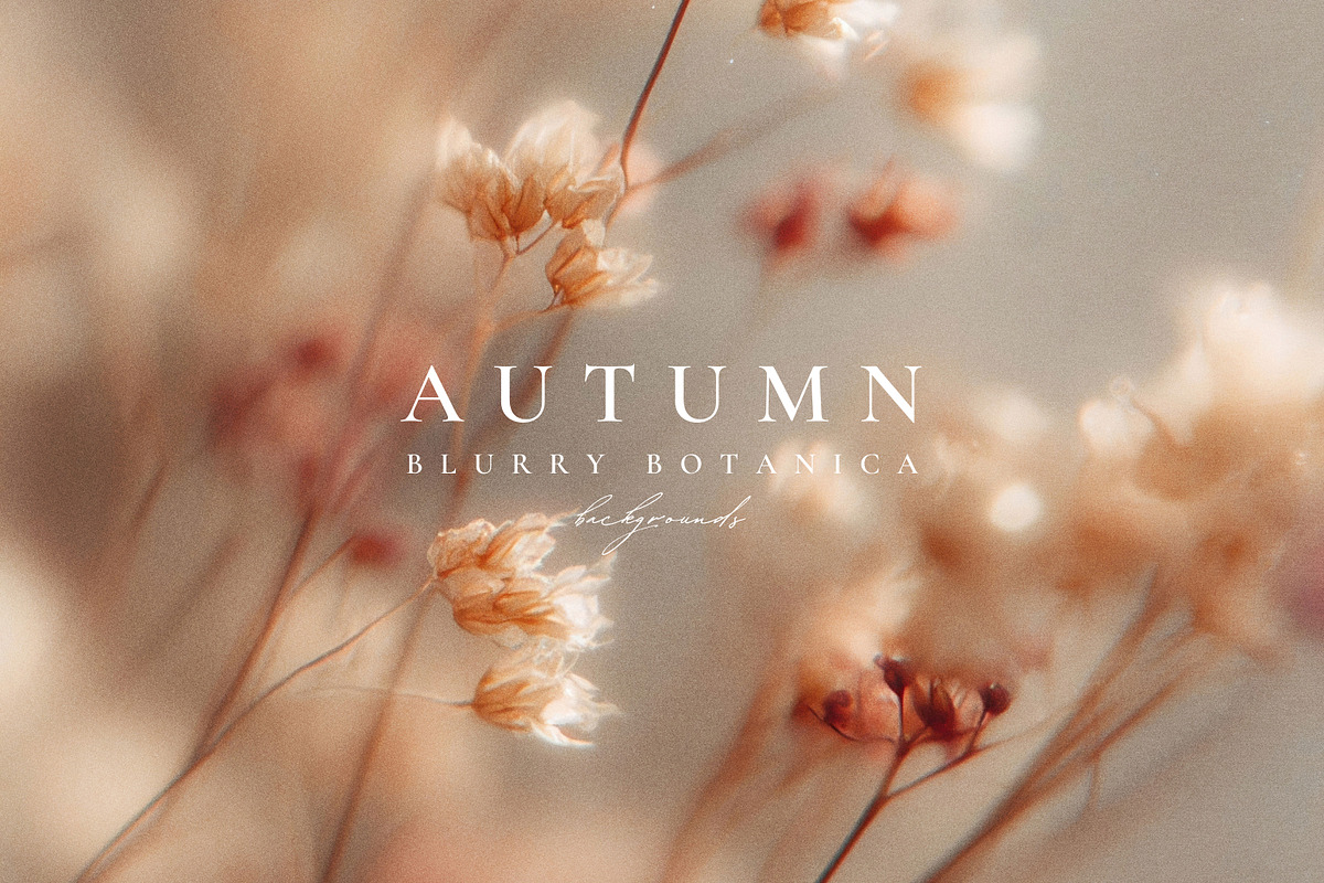 Autumn Blurry Floral Backgrounds, a Background Graphic by Altea Design Studio (Photo 4 of 15)