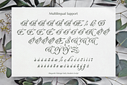 Alegarde, a Script Font by ilhamtaro (Thumbnail 10 of 10)