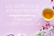 Ever Royal Handwritten Font, a Script Font by TessShearer (Thumbnail 2 of 2)