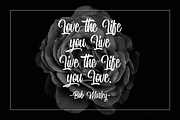 Miguela Script, a Script Font by RedyStudio (Thumbnail 10 of 10)