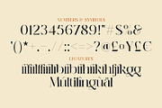 Michiya, a Serif Font by MJtypefoundry (Thumbnail 11 of 11)