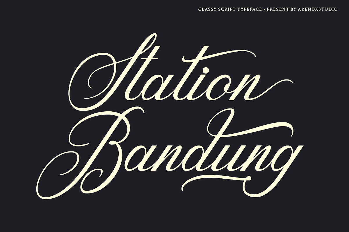 Housing - Classy Script Font, a Script Font by Arendxstudio (Photo 4 of 9)