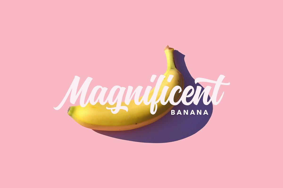 Montana Typeface, a Script Font by Get Studio (Photo 5 of 14)