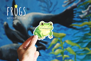 Watercolor Frogs Clipart PNG, an Animal Illustration by NataliArkushArt (Thumbnail 2 of 13)