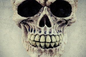 Skull