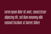Reformer Font, a Serif Font by Jadugar Design Studio (Thumbnail 11 of 11)