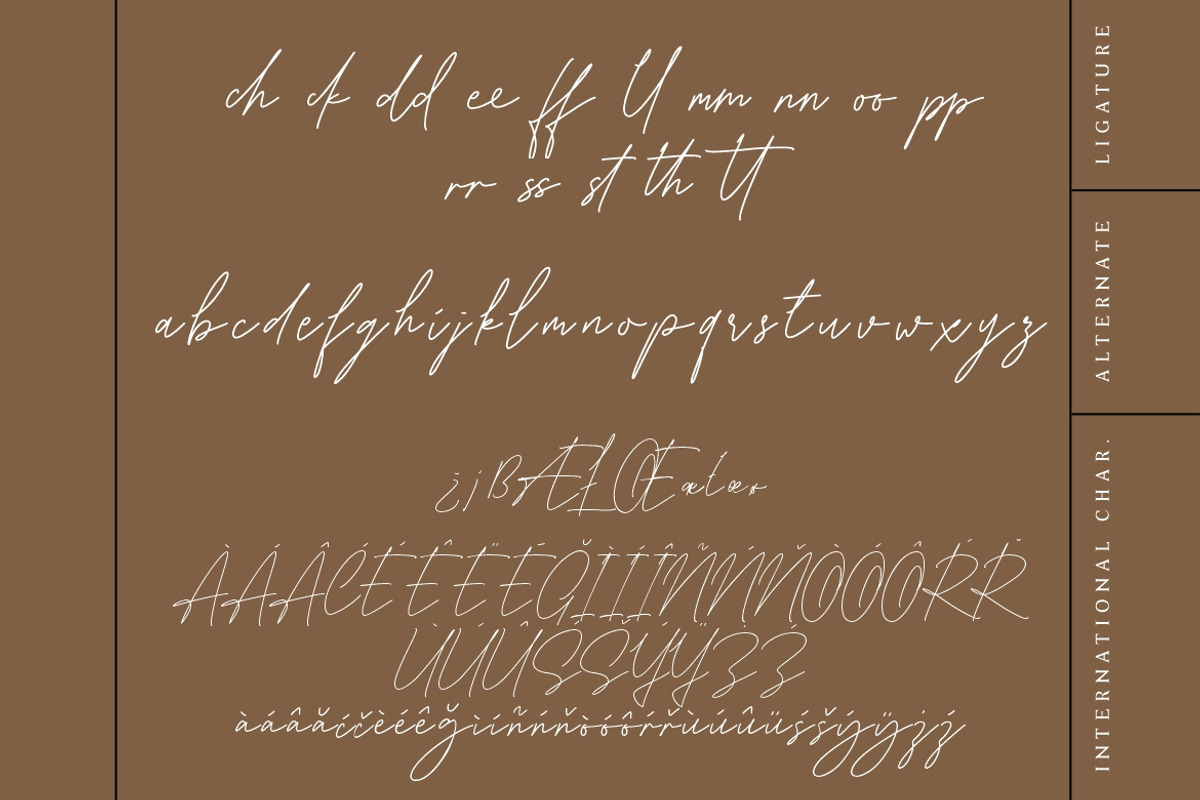 Karllina Handwriting Signature, a Script Font by Creatype Studio (Photo 8 of 9)