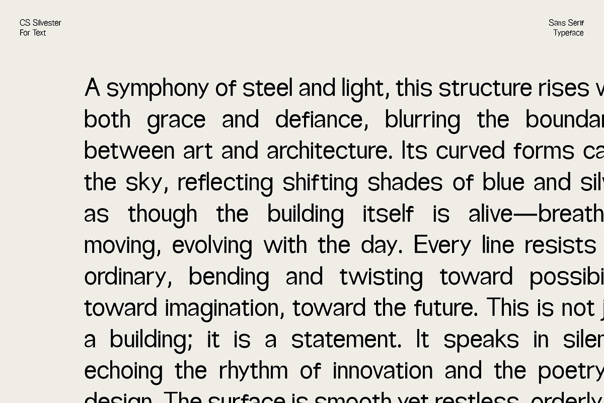 CS Silvester – Geometric Sans Serif, a Sans Serif Font by Craft Supply Co. (Photo 6 of 8)