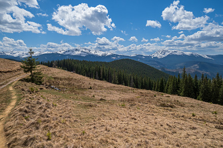 Hiking path on spring Carpathian mountain plateau, Ukraine., a Nature Photo by YuriyB