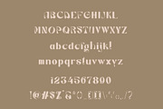 WASTON - Unique Classic Typeface, a Serif Font by Burnoth Design Co. (Thumbnail 11 of 11)