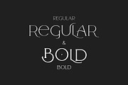 Arrogant Font, a Serif Font by Graphicdome (Thumbnail 4 of 24)