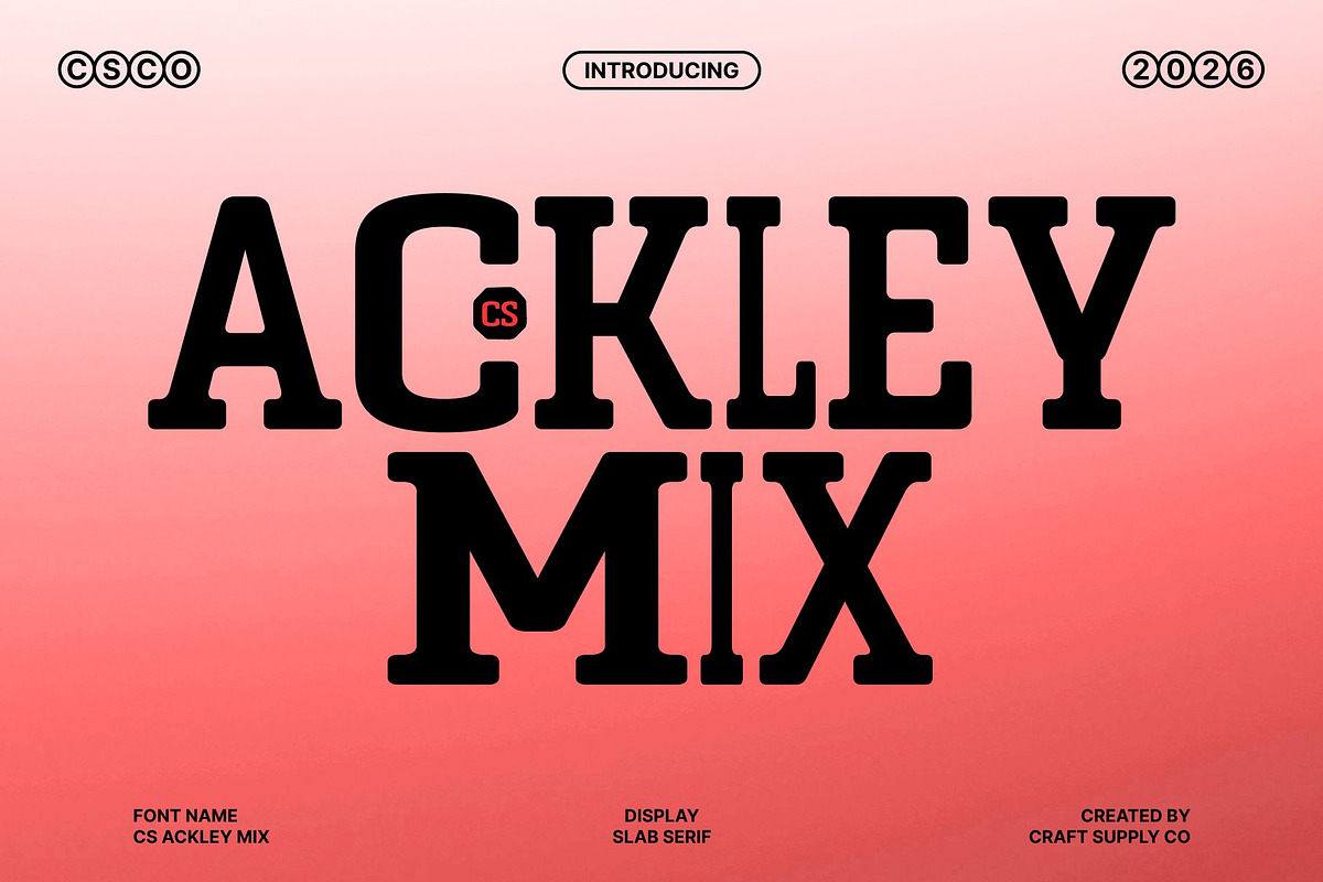 CS Ackley Mix, a Slab Serif Font by Craft Supply Co. (Photo 1 of 8)